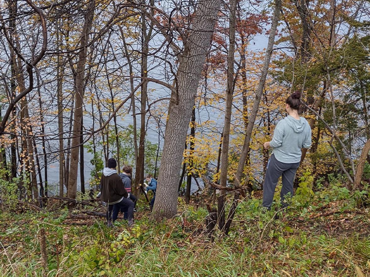 Biology classes work to remove invasive plant species from the lakeshore.