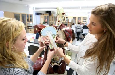 UW-Stout students in an anatomy and physiology course.