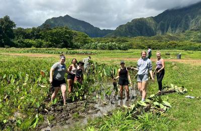 Erin O’Brien, left, and fellow students at the Paepae O He'eia fishpond.